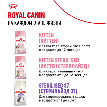 Royal Canin Kitten Sterilised Корм сухой сбалансированный для стерилизованных котят до 12 месяцев, 0,4 кг